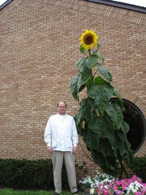 Dr. Wennersten does all of the gardening himself! Sunflowers are his specialty.