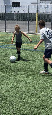 Premier Soccer Coaching USA