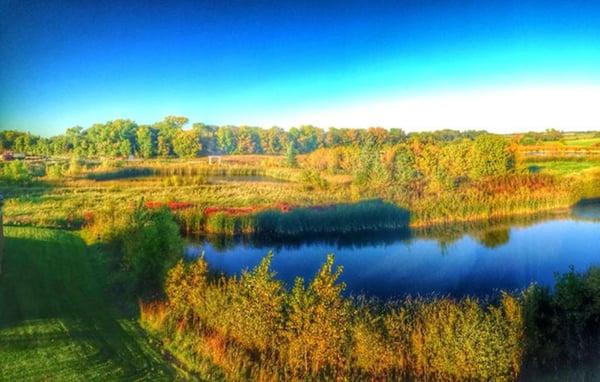 Beautiful wetlands