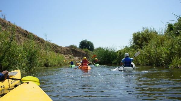 Paddle the LA River