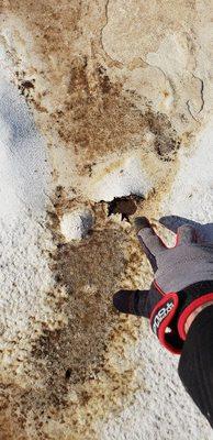 Hole in a flat roof