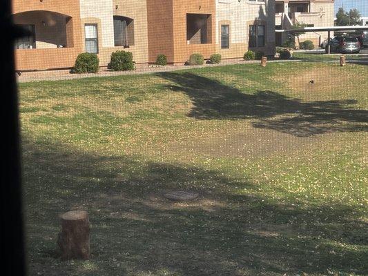 The kids in the complex built a soccer field by my window and they already cracked my window