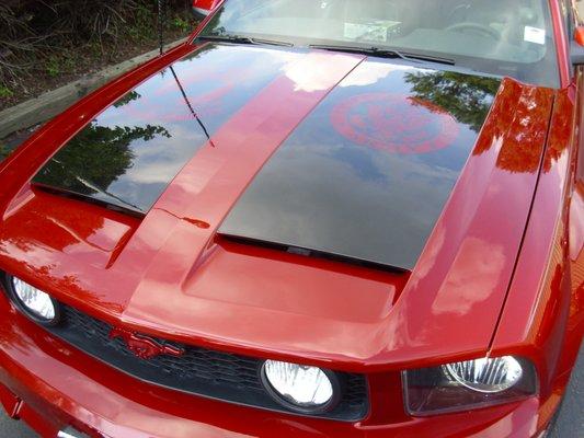 2005 Mustang Hood Emblems