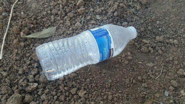 The beverage containers the construction crew left on the ground after project