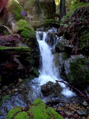 Waterfalls are alive after the rain storm!