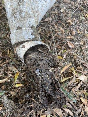 sewer line service Plumbing Orange County