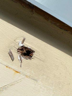 They just left these things on a new roof!