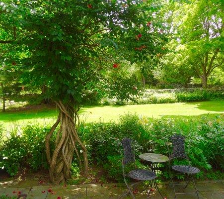 Patio seating in the elegant garden.