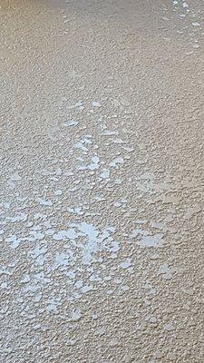 Desert Rose Concrete Coatings