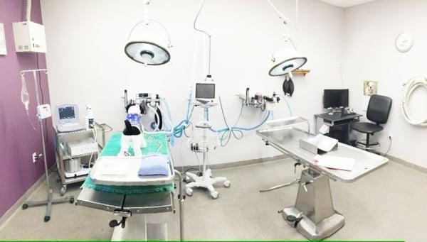 Surgery Suite