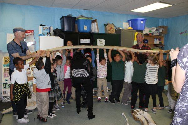 Whale Week (Mission Science Workshop) comes to Flynn! May 2016