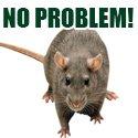 Call today for a Free Rodent Inspection.