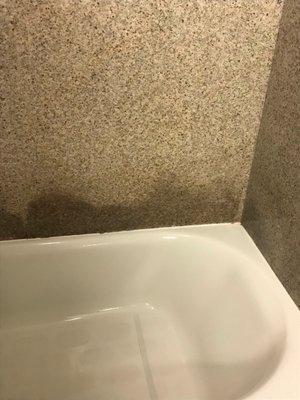 Mold in shower.