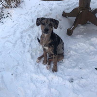 His first snow