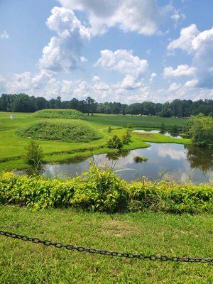 Moundville Archaelogical Park