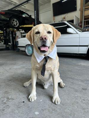 Everyone's favorite service advisor, Oliver