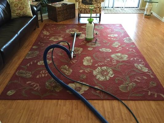 Area Rug Cleaning