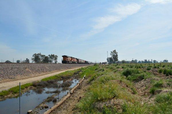 Wetland Delineation/ SWPPP Protection near BNSF Railway, Madera, CA