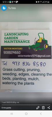 Montero Landscaping