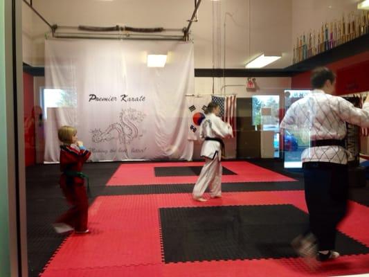 Premier Karate