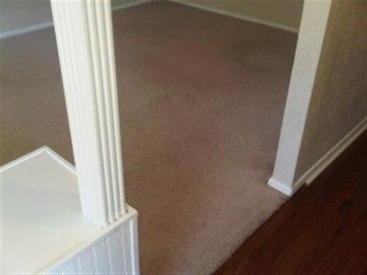 residential carpet cleaning