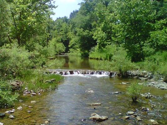 Our beautiful creek at Fair Winds!