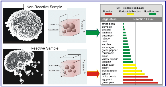MRT Food Sensitivity Testing
