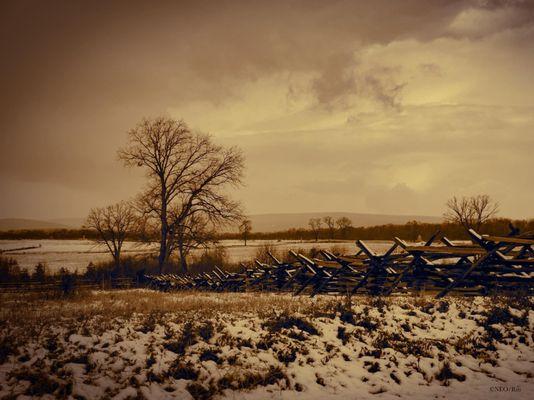 Battlefield, Gettysburg, PA. (NEO/Rm)