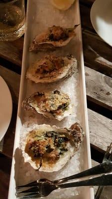 Yummy oysters!