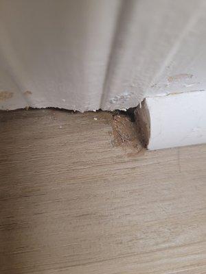 Hole in flooring and installer filled it with caulk.