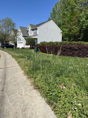 This is one of the common areas in our neighborhood that TownProperties oversees maintenance of.