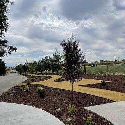 DG Walkway, metal edging, sprinkler installation, and planting