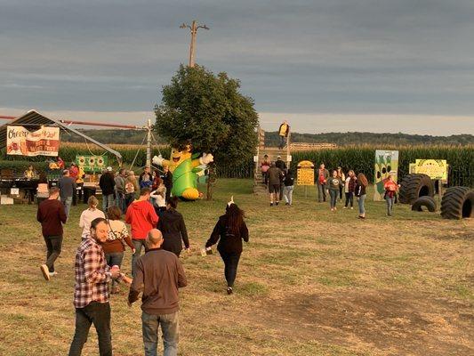 Liberty Corn Maze