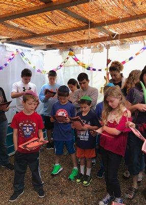 Celebrating Sukkot