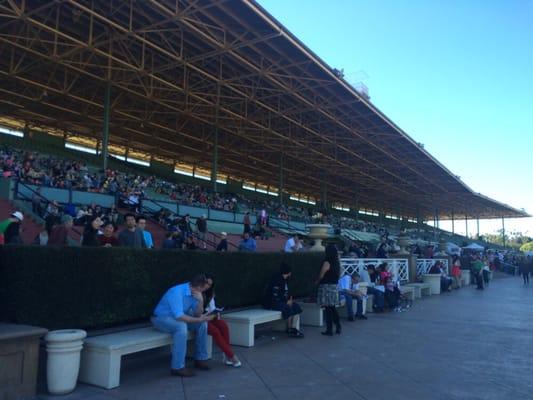 Race track seating