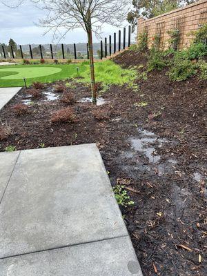 Flooded side yard causing plants to rot and die. Promised repairs never done.