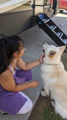 Hanging out with one of our neighbors beautiful dog!!