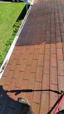 Pro Roof Cleaning