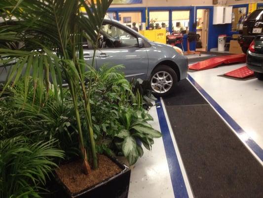 Mr. Wheeler's auto shop. The plants are for increased oxygen for the kids..