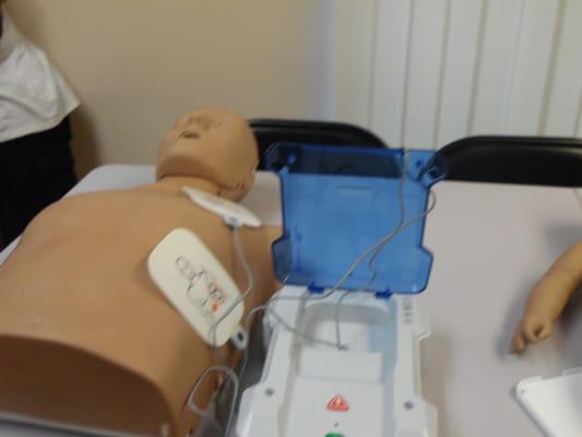 Adult CPR Mannequin & Bilingual AED Monitor.