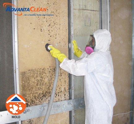 We strictly adhere to ANSI/IICRC protocols/best engineering practices for mold remediation.