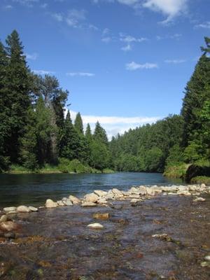 The lovely McKenzie River as viewed from the beach area at the Wayfarer Resort.