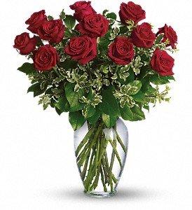 Red Roses, always a favorite!