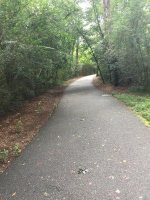 Inside Wellstone trail