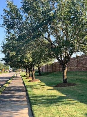 Trees trimmed and grass cut for a clean look.