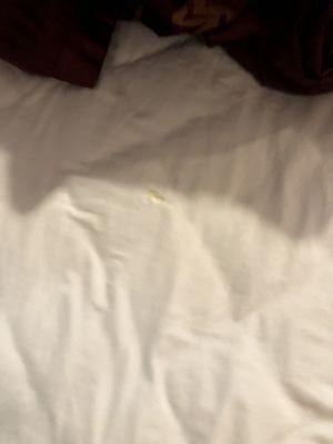 Do they even wash their bedding?! We couldn't tell if it was cum or meth. I didn't even want my blankets from home to touch