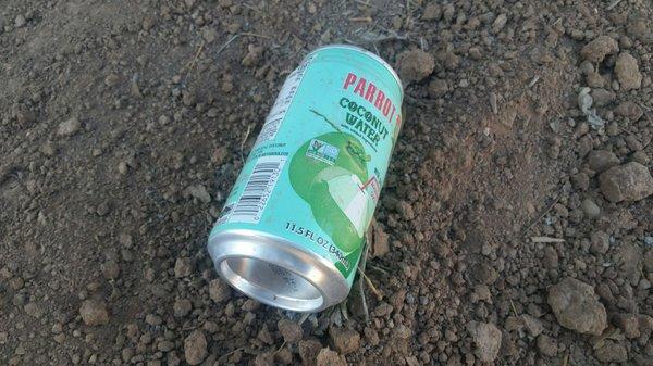 The beverage containers left on the ground by construction crew after wall project