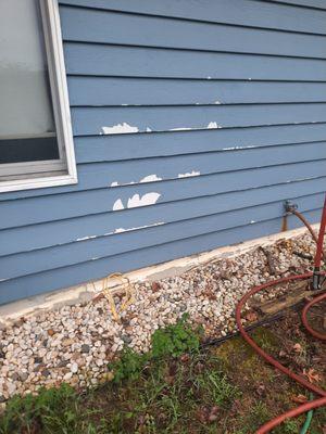 Paint peeling off of one of many locations off the back of the house