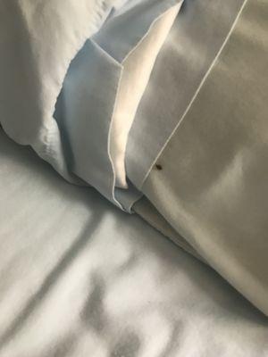 Bed bugs and rude staff that won't do anything to make it right.