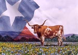 Bluebonnet Art Gallery & Framing